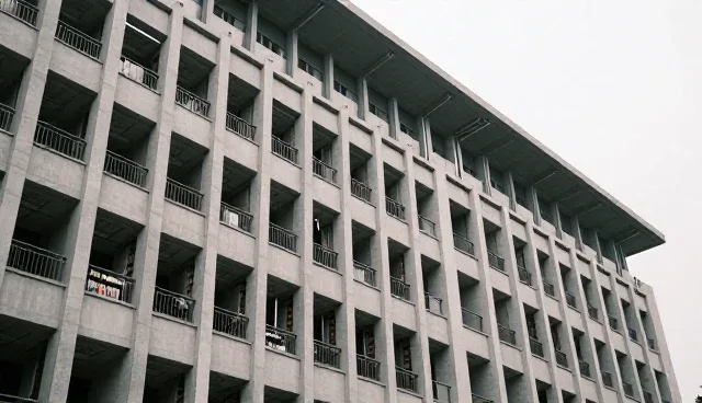提示词交易会员购选型与使用建议